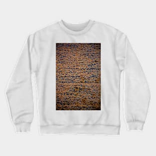 Rusty Crewneck Sweatshirt